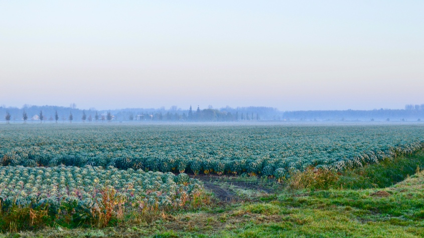 image-2017-12-23 (3)