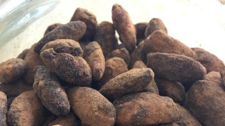 cacao kaneel amandelen