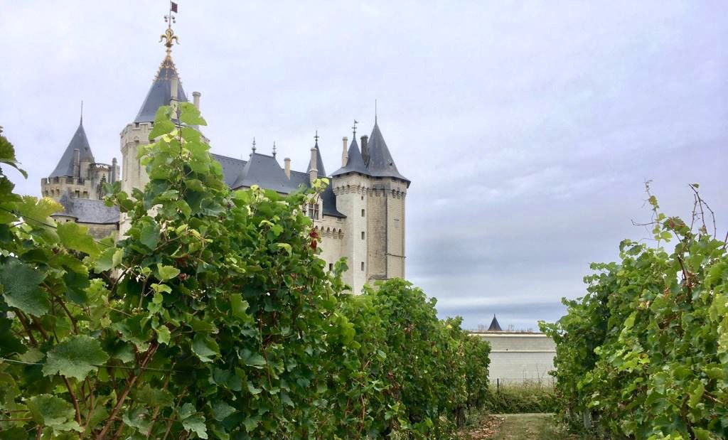 Frankrijk Franse Paradox