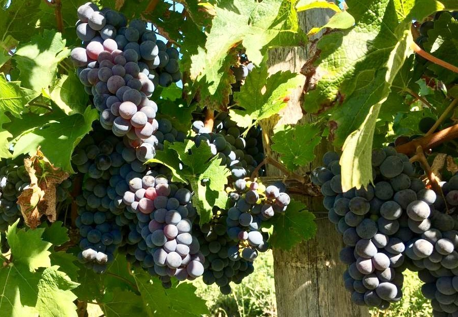 e47bb42c-fa95-4028-989a-bf26c93892f5